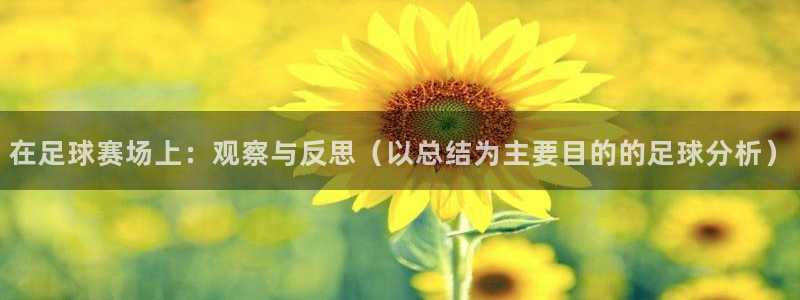在足球赛场上：观察与反思（以总结为主要目的的足球分析）