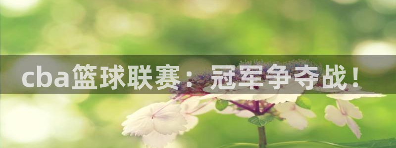 cba篮球联赛：冠军争夺战！