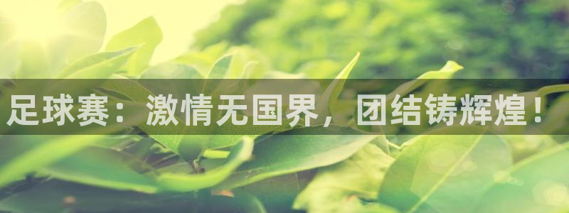 足球赛：激情无国界，团结铸辉煌！
