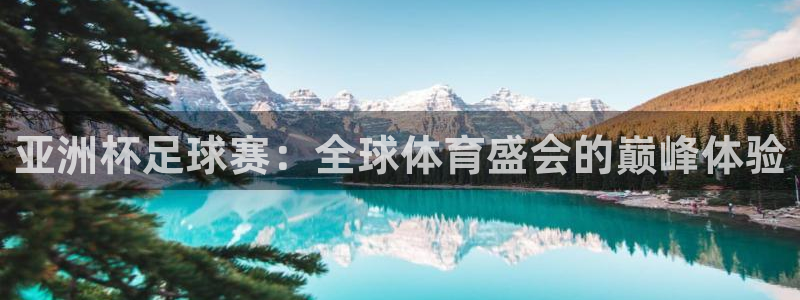 亚洲杯足球赛：全球体育盛会的巅峰体验