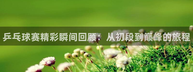 九游体育在线：乒乓球赛精彩瞬间回顾：从初段到巅峰的旅程