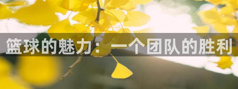 九游体育：篮球的魅力：一个团队的胜利